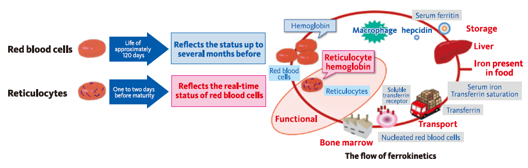 Clinical applications