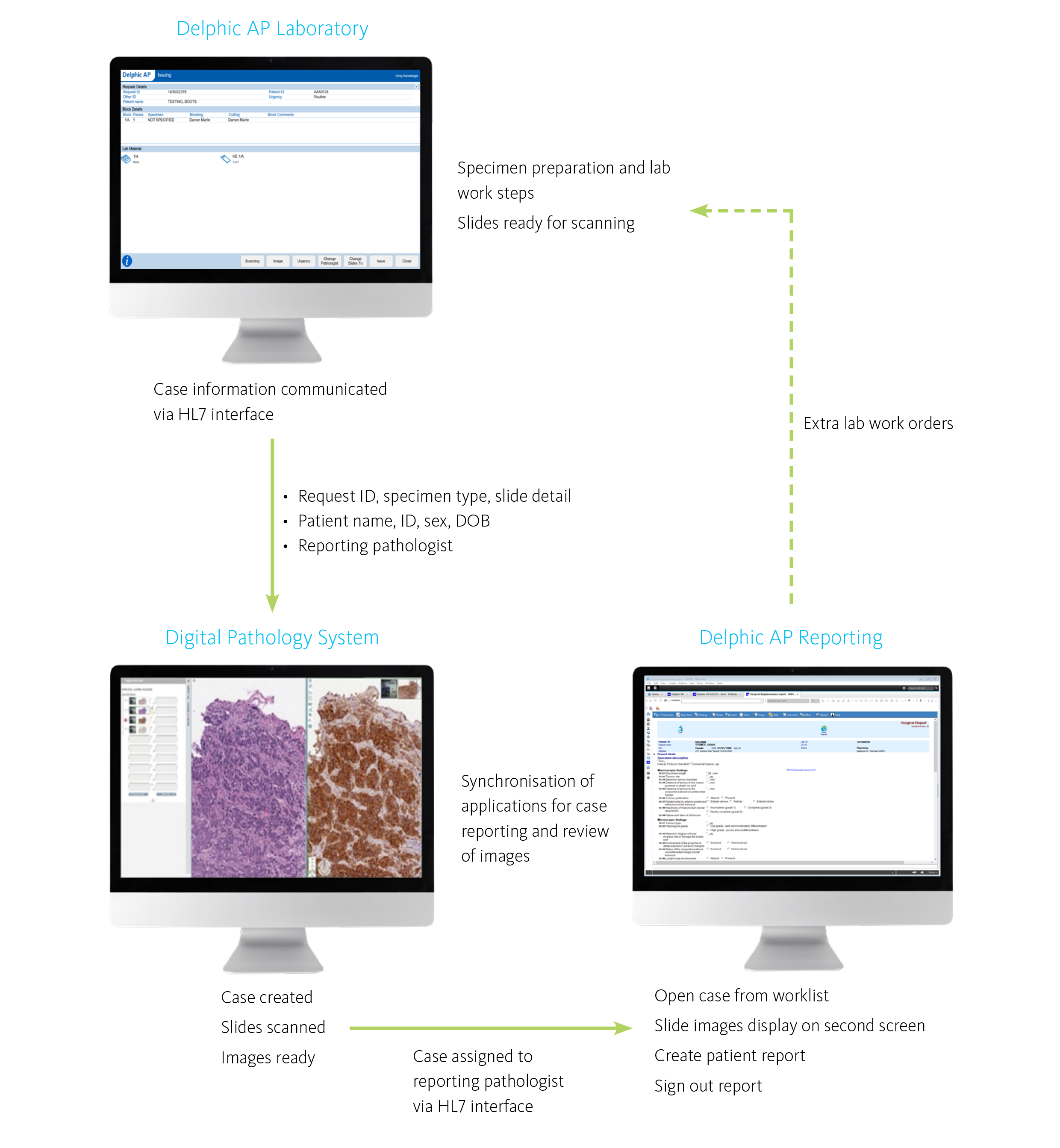 digital pathology