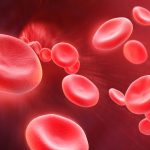 Contribution Of Sysmex Algorithms to The Daily Routine Management Of Different RBC Diseases