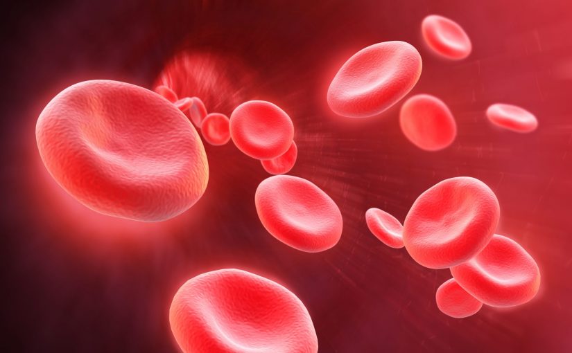 [VOD AVAILABLE] MINDS TOGETHER – Sysmex Knowledge Congregation Webinar on Anaemia & Haematuria Early Diagnosis Using Automation