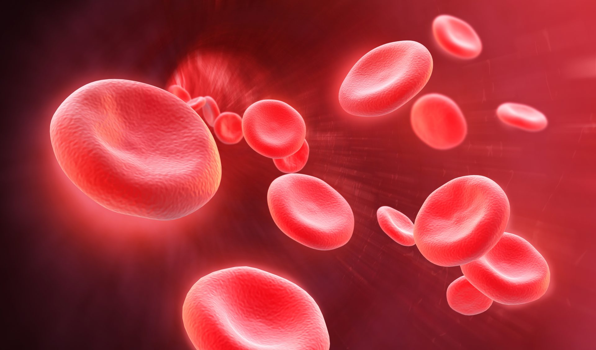 Contribution Of Sysmex Algorithms to The Daily Routine Management Of Different RBC Diseases