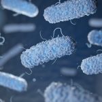 Sysmex Solutions in the Fight Against UTI-Related Antimicrobial Resistance
