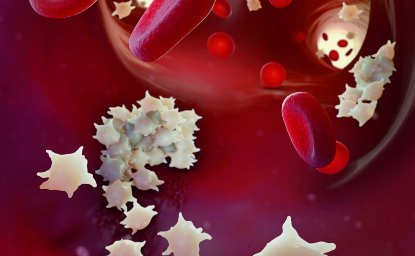 Von Willebrand Disease: New Guidelines on the Laboratory Diagnosis and Management