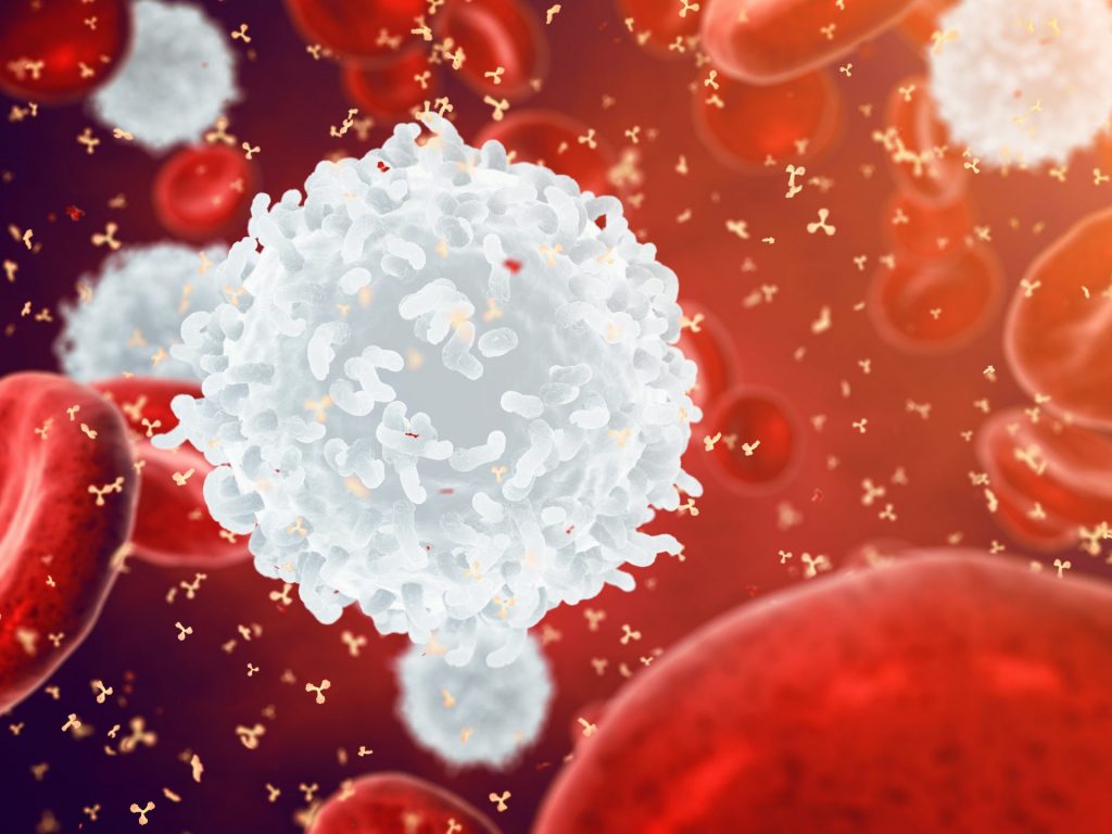 [VOD AVAILABLE] Acute Lymphoblastic Leukaemia – The Importance of Clinical Flow Cytometry and Molecular Studies for Its Evaluation and Management