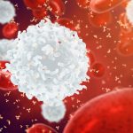 White red blood cells and antibodies