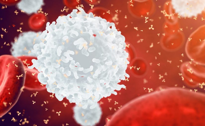 Acute Lymphoblastic Leukaemia – The Importance of Clinical Flow Cytometry and Molecular Studies for Its Evaluation and Management