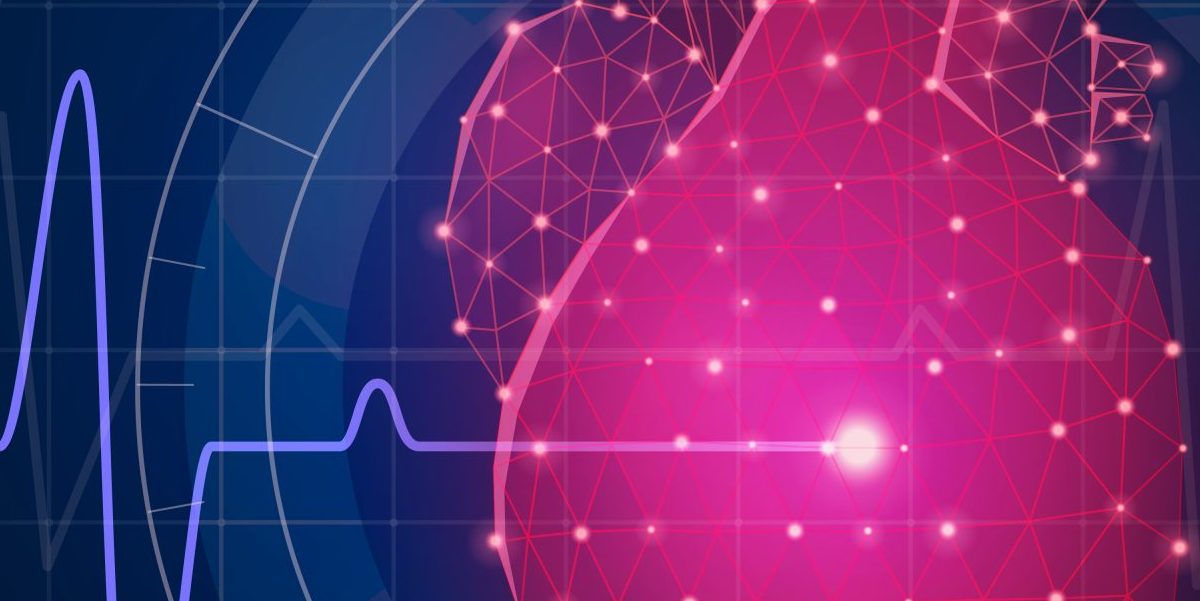 Harmonisation of Discordant Notes in the Extended Lipid Panel including Lipoproteins, Apoproteins and Cardiac Markers