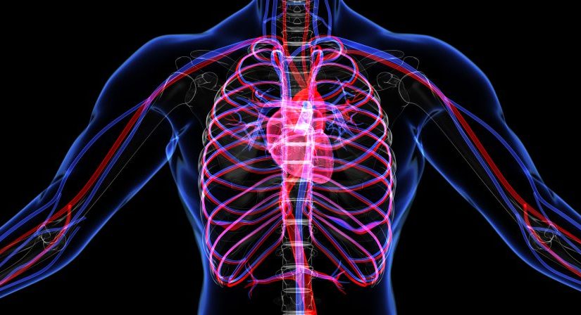 [VOD AVAILABLE] Role of Blood Testing in Cardiovascular Disease