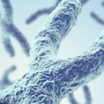 Decoding Her2 testing for targeted therapy in gastric cancer in the era of Precision medicine (Open for Registration)