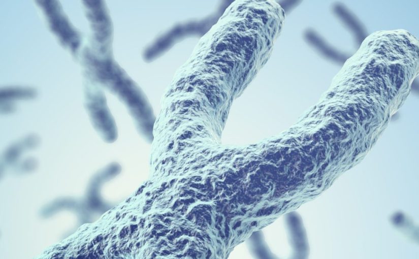 [VOD AVAILABLE] Decoding Her2 testing for targeted therapy in gastric cancer in the era of Precision medicine