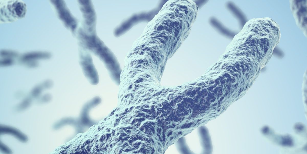 Decoding Her2 testing for targeted therapy in gastric cancer in the era of Precision medicine (Open for Registration)