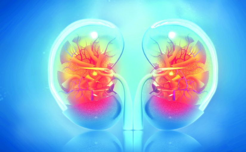 [VOD AVAILABLE] HIV Treatment Monitoring: A Clinician’s Perspective