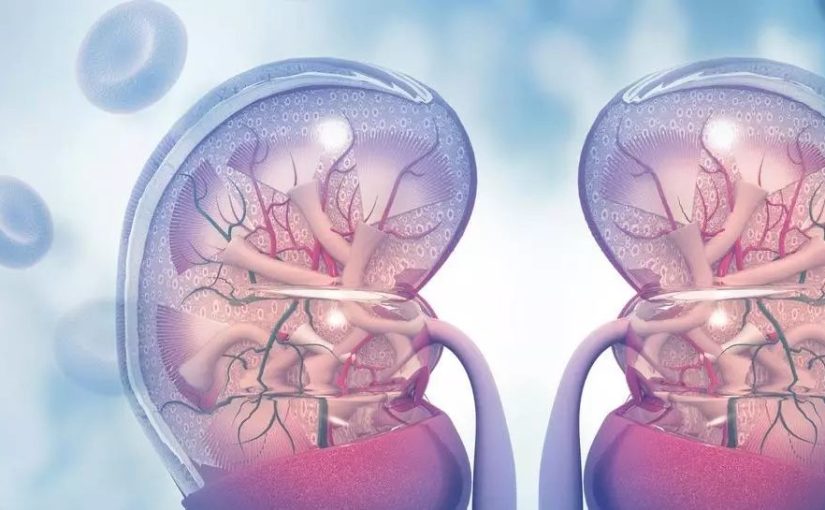[VOD AVAILABLE] Automated Urine Analyser for Rapid Differentiation between Glomerular and Non-Glomerular Haematuria: A New Era in Haematuria Evaluation